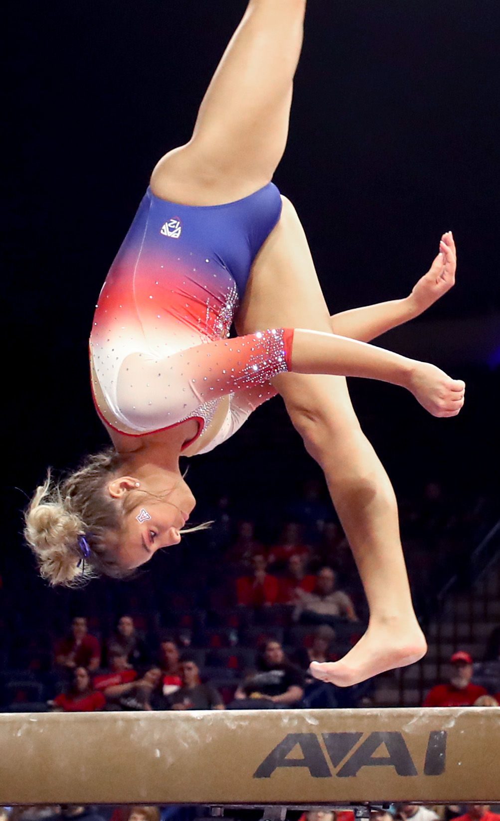 GymCats vs Utah